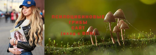 a pvp Алексеевка