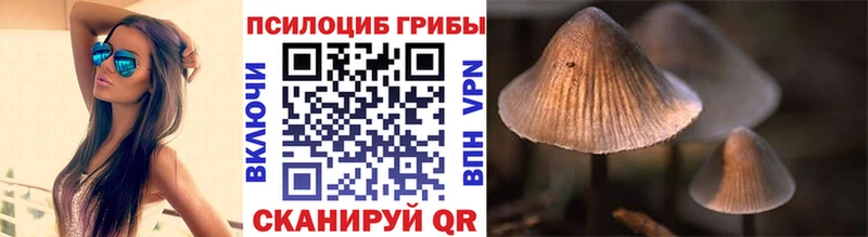 купить закладку  Сухой Лог  Галлюциногенные грибы мицелий 